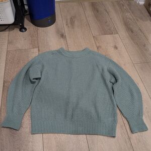 Everlane Green Alpaca Crewneck Sweater in Sage Green